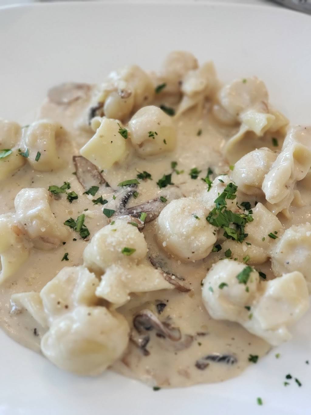 Panuozzo Italian Restaurant | restaurant | 8211 W Atlantic Blvd, Coral Springs, FL 33071, USA | 9547536055 OR +1 954-753-6055