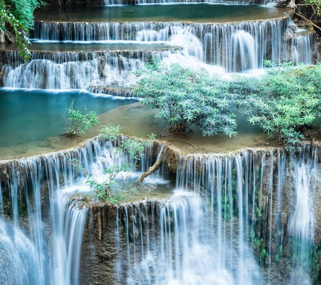 La Casa Del Buen Gusto | restaurant | 657 E Allegheny Ave, Philadelphia, PA 19134, USA | 2676877435 OR +1 267-687-7435