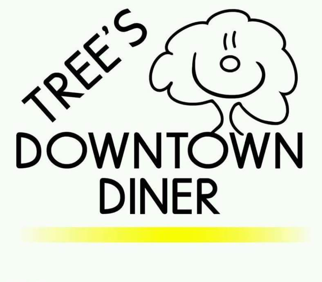 Trees Downtown Diner | restaurant | 224 N Fulton St, Wauseon, OH 43567, USA | 4193355001 OR +1 419-335-5001