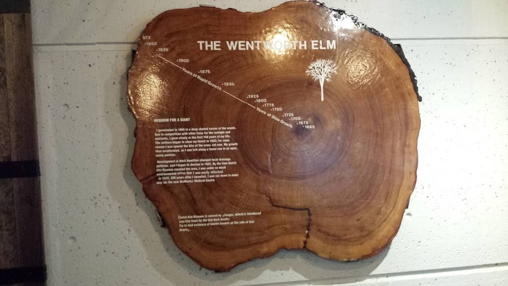 The Greenhouse Café | cafe | 680 Plains Rd W, Burlington, ON L7T 4H4, Canada | 9055271158 OR +1 905-527-1158