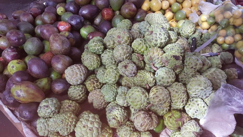 Afghan Kebab House | restaurant | 259-11 Hillside Avenue, Queens, NY 11004, USA | 7183431160 OR +1 718-343-1160