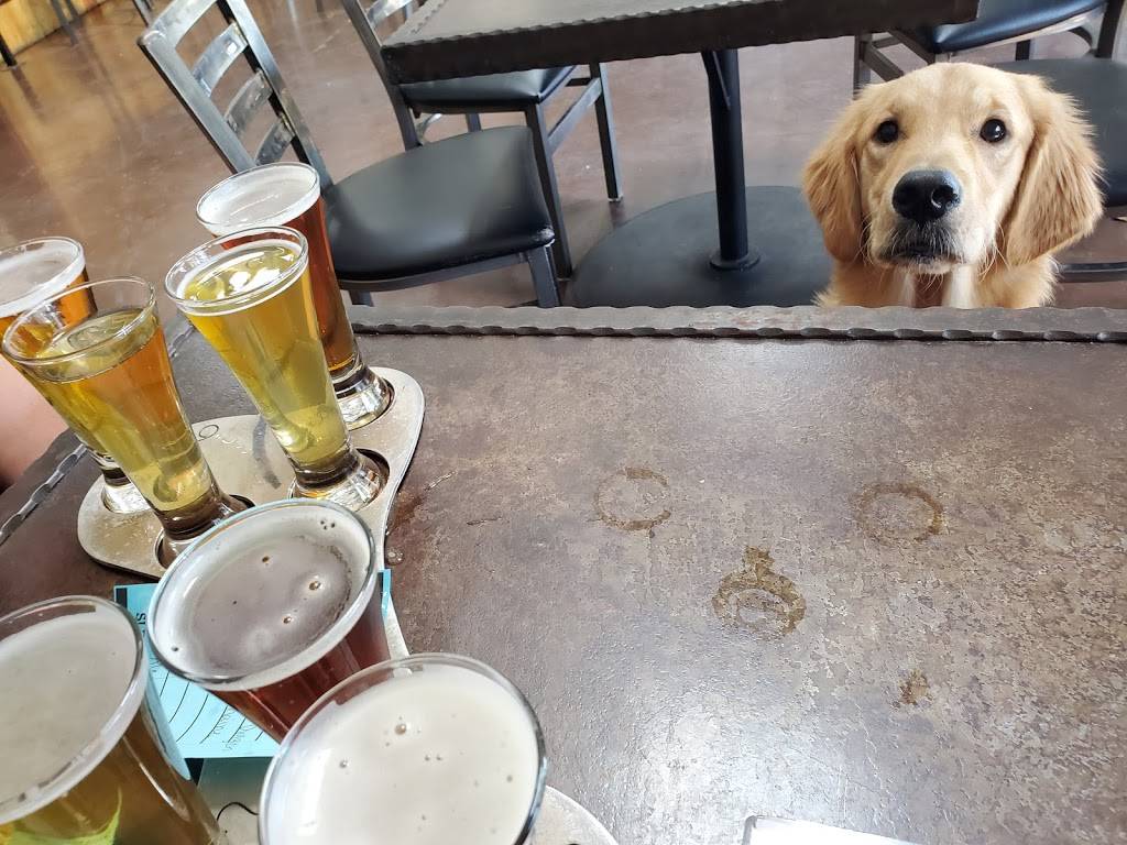 Sleepy Dog Saloon & Brewery | restaurant | 1920 E University Dr, Tempe, AZ 85281, USA | 4809675476 OR +1 480-967-5476