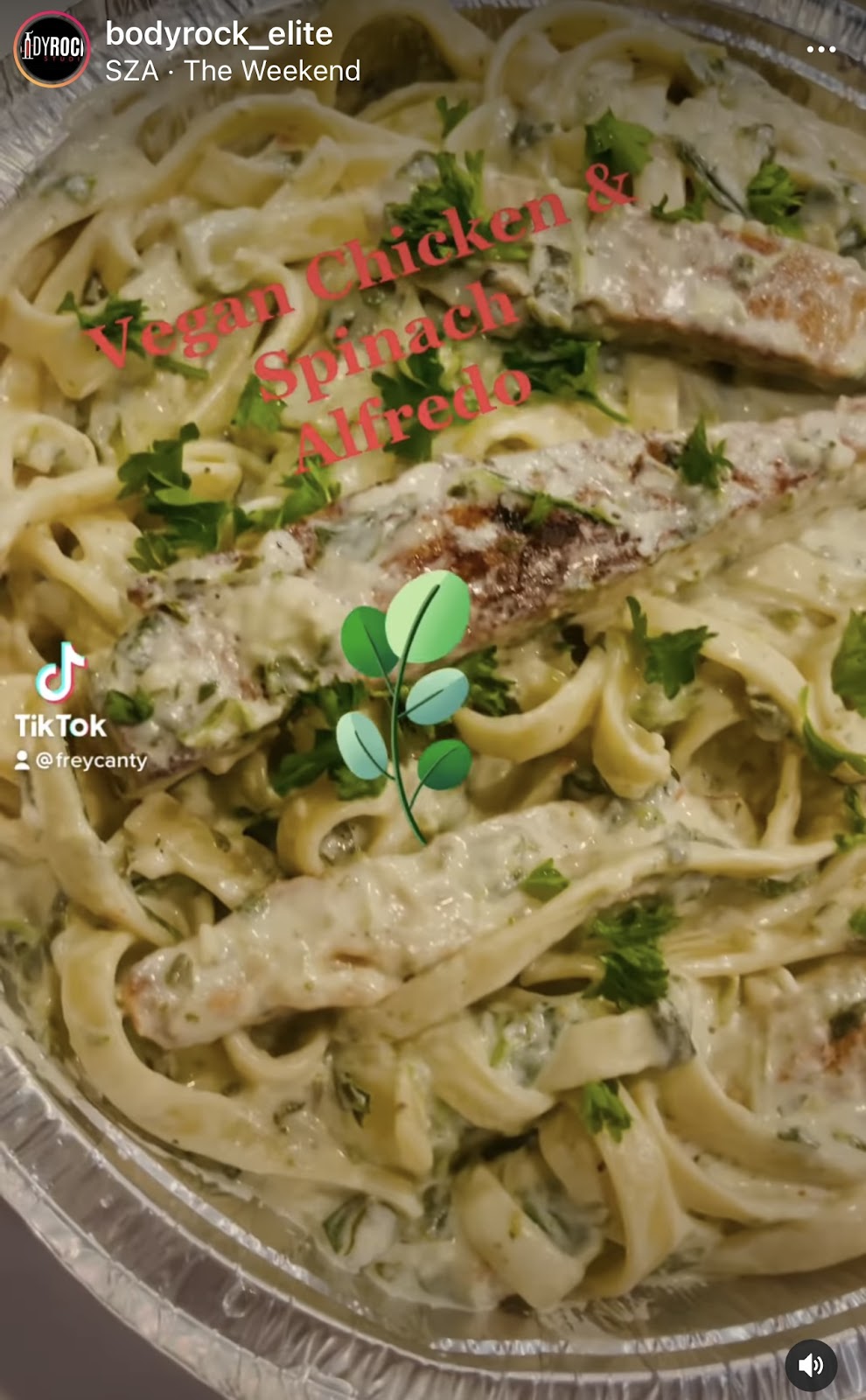 The Soulful Vegan | restaurant | 1720 Merriman Rd Suite M, Akron, OH 44313, USA | 3303381949 OR +1 330-338-1949