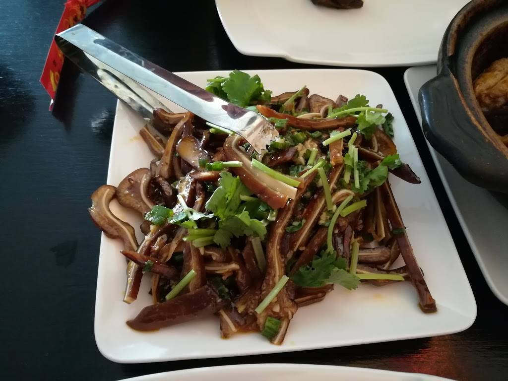 Shanghai Osaka Restaurant | restaurant | 295 Daniel Webster Hwy, Nashua, NH 03060, USA | 6038887999 OR +1 603-888-7999