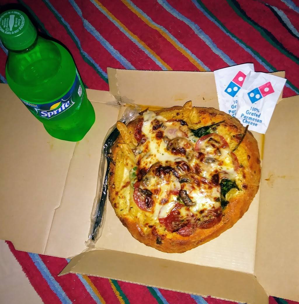 Dominos Pizza | meal delivery | 4800 Bayline Dr, North Fort Myers, FL 33917, USA | 2399951100 OR +1 239-995-1100