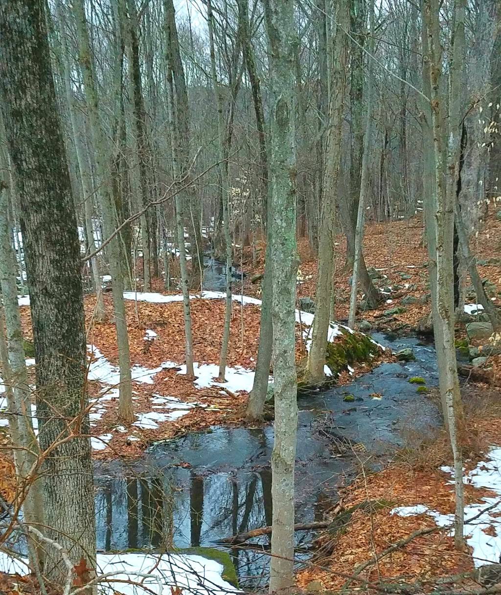 Twin Lakes Cafe | cafe | 544 Church St, Amston, CT 06231, USA | 8602280743 OR +1 860-228-0743