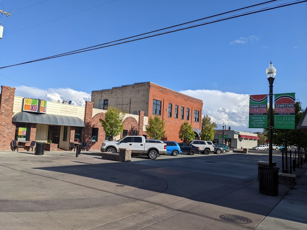 Veg Out | restaurant | 140 NE 2nd St, Hermiston, OR 97838, USA | 5415619231 OR +1 541-561-9231