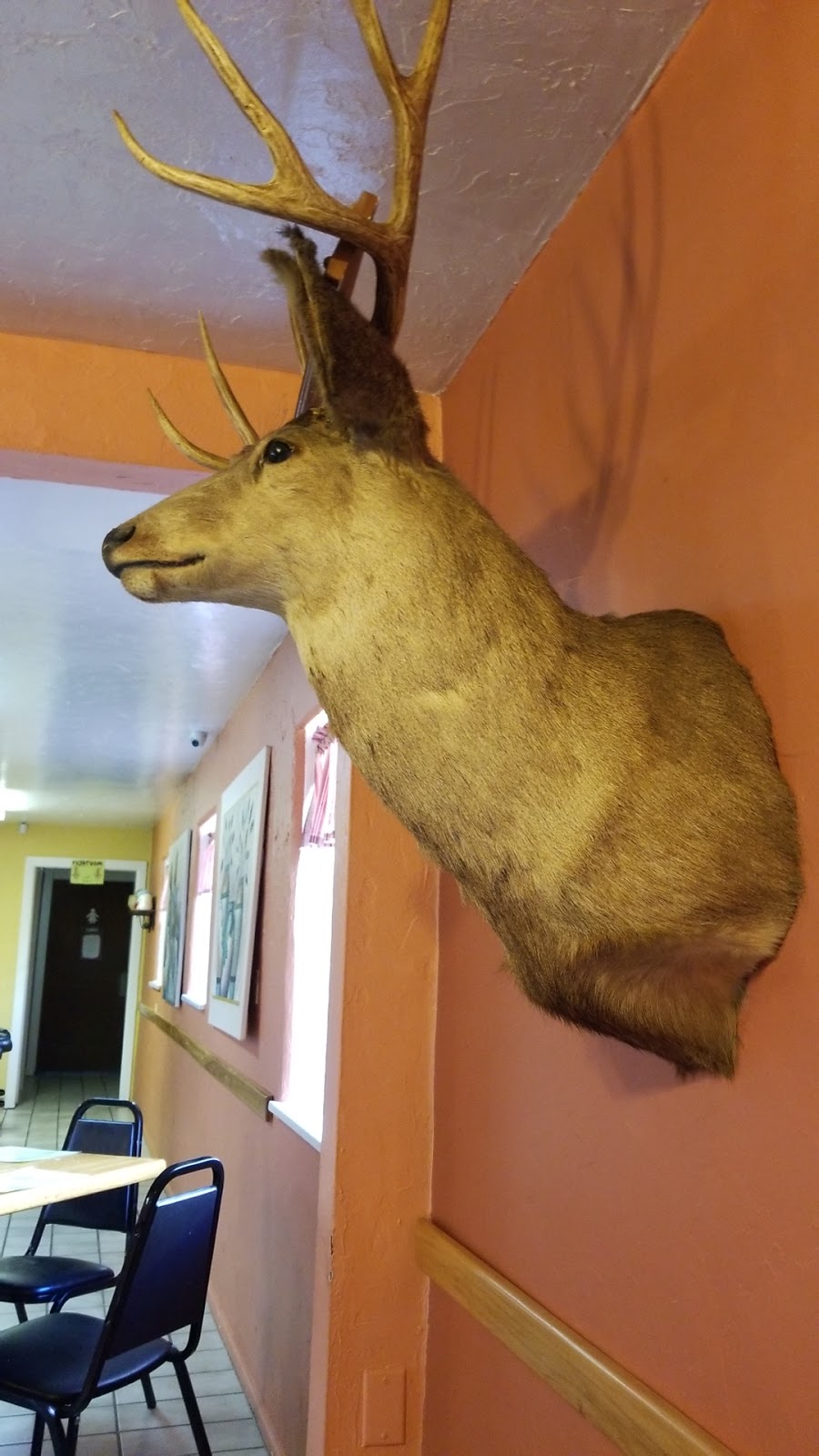 El Amigo | restaurant | 355 Goddard Ave, Ignacio, CO 81137, USA | 9705630198 OR +1 970-563-0198