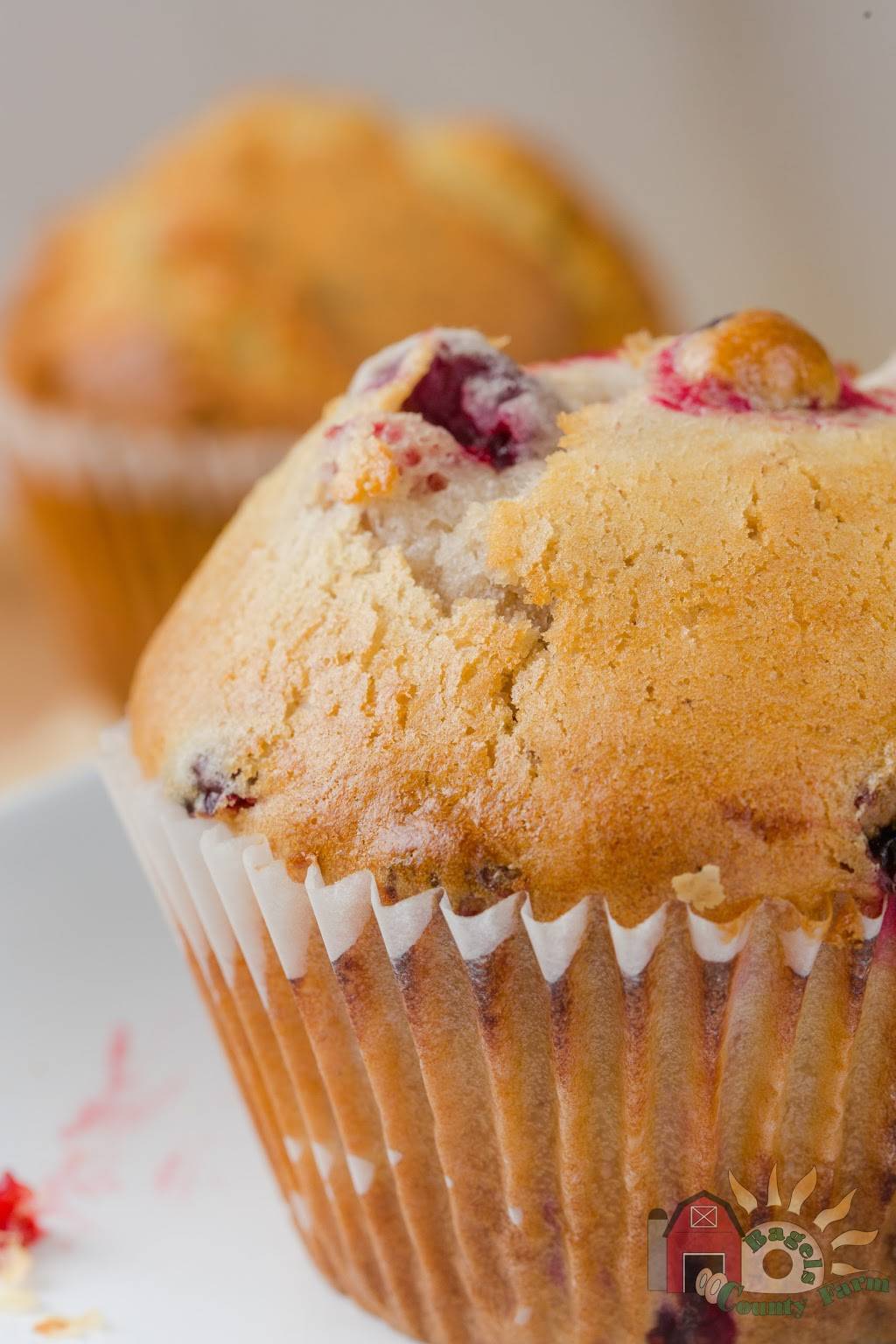 County Farm Bagels of Wheaton | cafe | 118 N Main St, Wheaton, IL 60187, USA | 3317167187 OR +1 331-716-7187