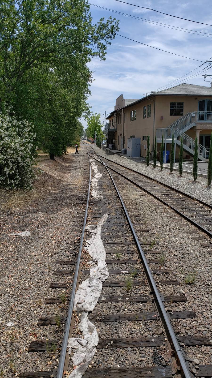 Napa Valley Wine Train | restaurant | 1275 McKinstry St, Napa, CA 94559, USA | 7072532111 OR +1 707-253-2111