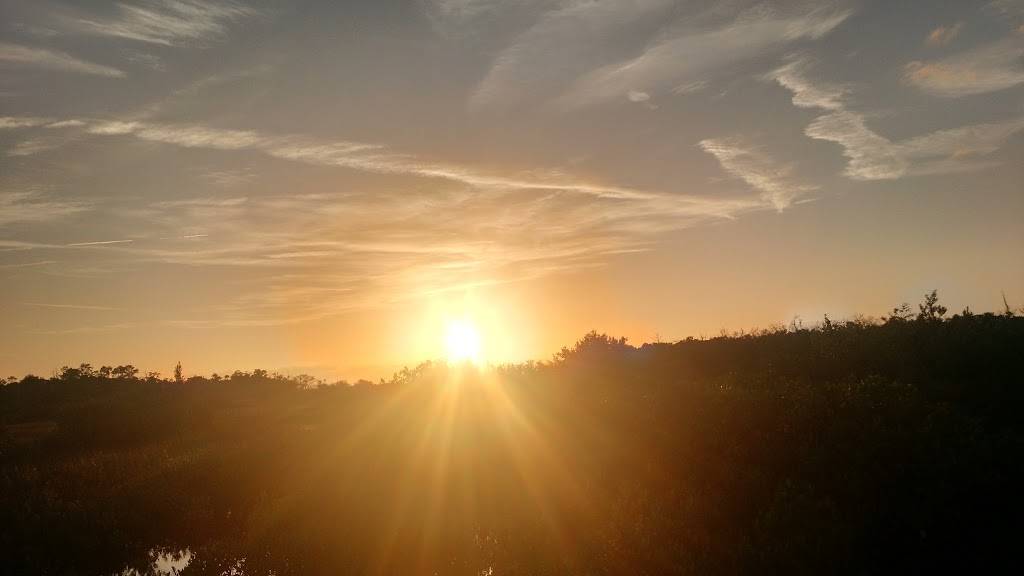 A C Fisheries LLC | restaurant | 14440 W Ebbtide Ct, Crystal River, FL 34429, USA | 3527957575 OR +1 352-795-7575