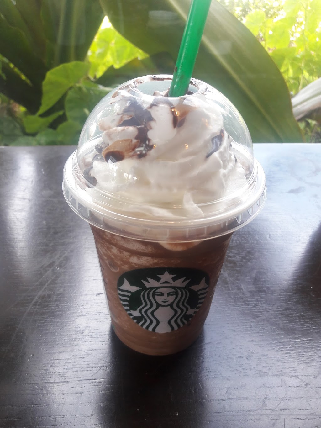 Starbucks | cafe | 8660 SW 72nd St, Miami, FL 33143, USA | 3054121483 OR +1 305-412-1483