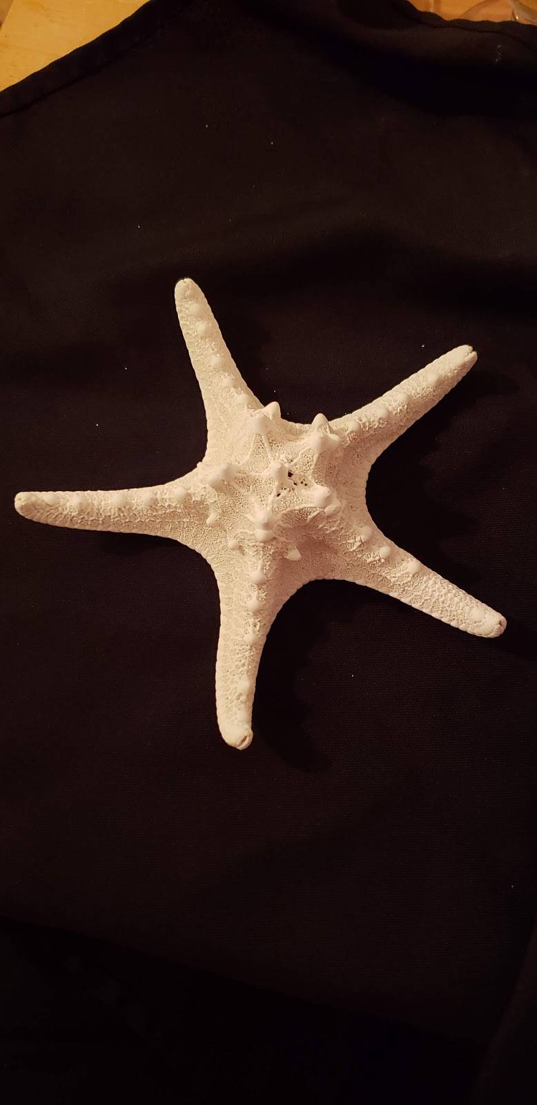 Chillingsworth Restaurant | restaurant | 2449 Main St, Brewster, MA 02631, USA | 5088963640 OR +1 508-896-3640