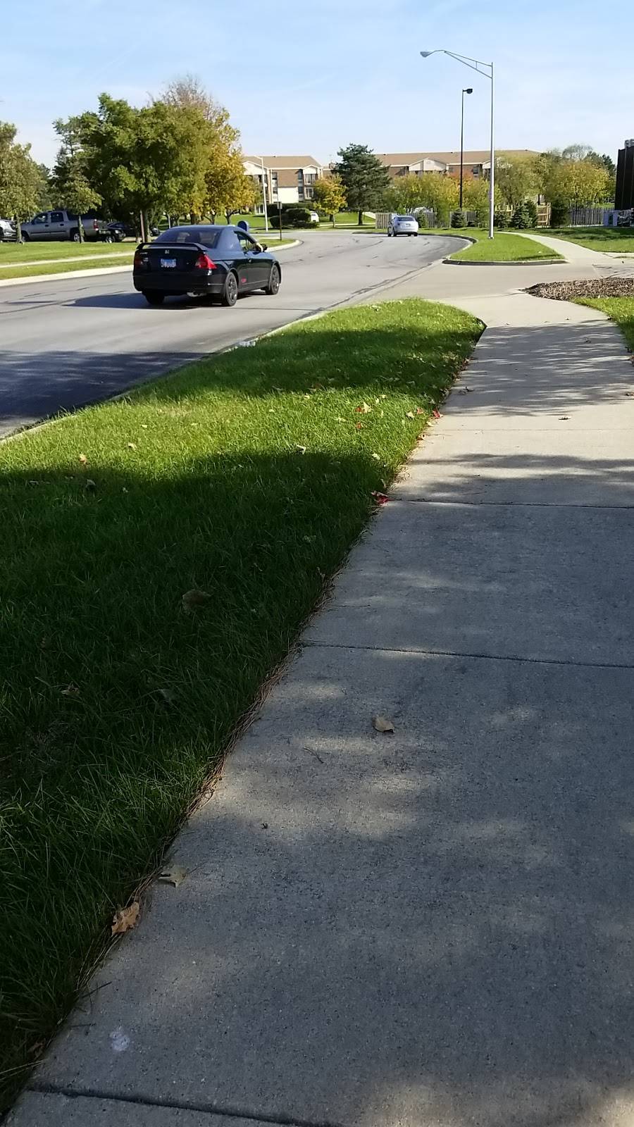 Wendys | restaurant | 424 S Schmale Rd, Carol Stream, IL 60188, USA | 6306684790 OR +1 630-668-4790