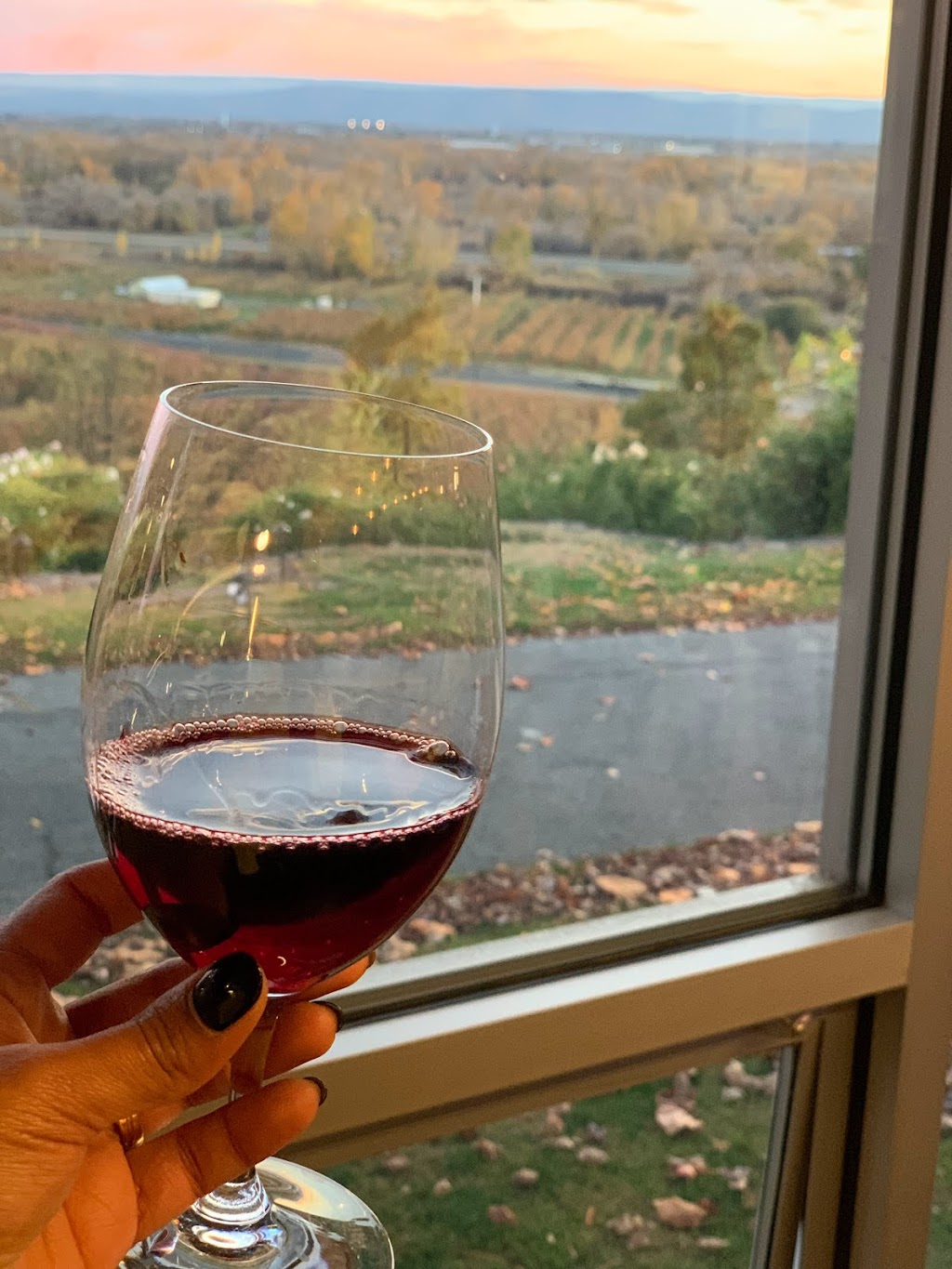 Freehand Cellars | restaurant | 420 Windy Point Dr, Wapato, WA 98951, USA | 5098664664 OR +1 509-866-4664