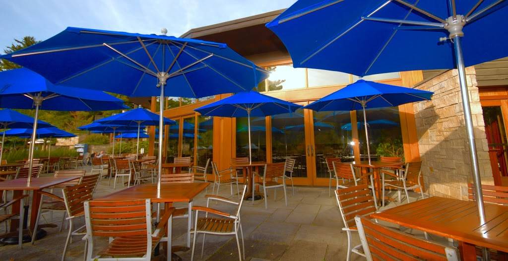 Flannel Restaurant | restaurant | 4000 Mountain Rd, Stowe, VT 05672, USA | 8022536445 OR +1 802-253-6445