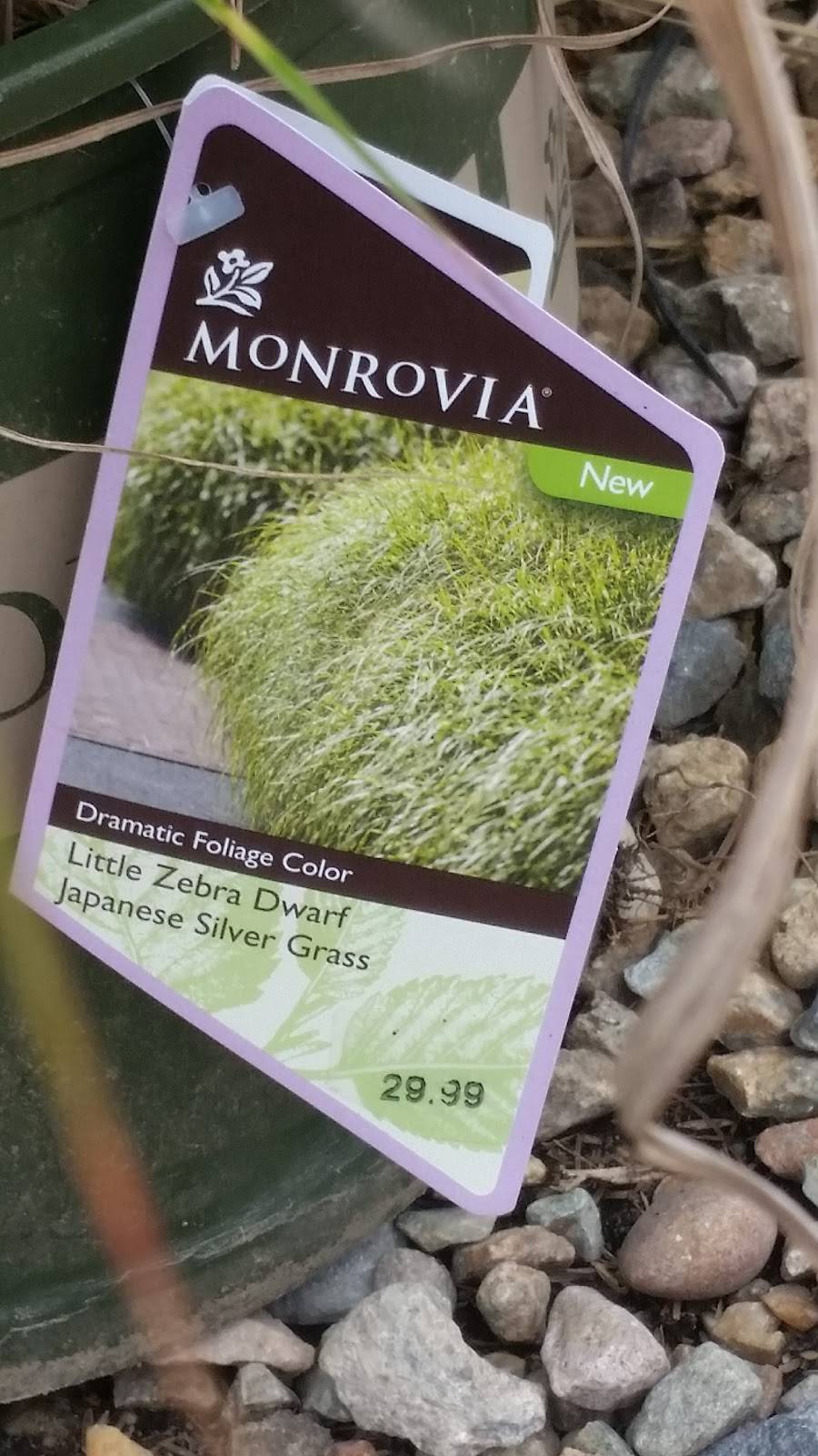 Christinas | restaurant | 460 Washington St, Pembroke, MA 02359, USA | 7818299001 OR +1 781-829-9001