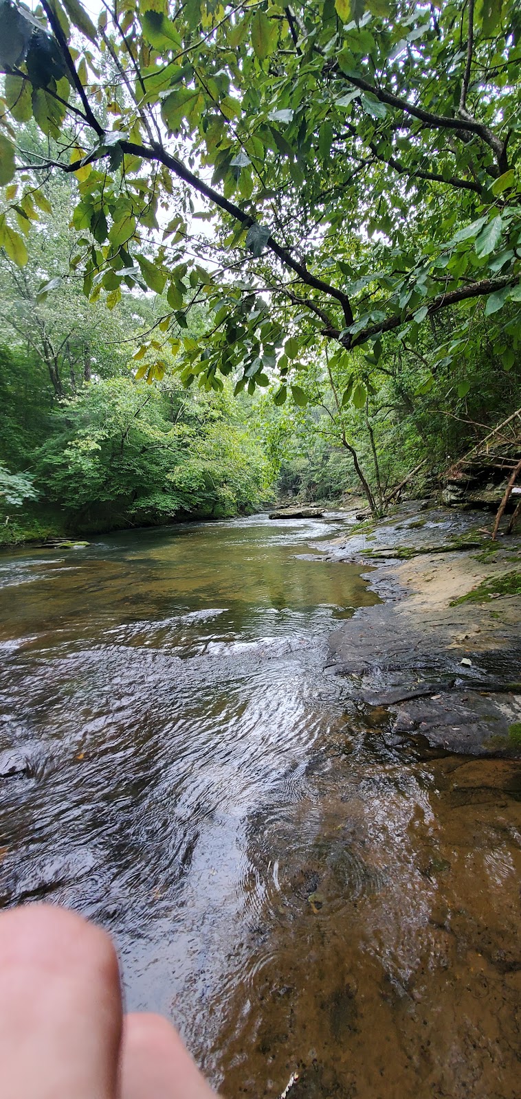 SPORTSMANS PARK | restaurant | 11155 Elk River Mills Rd #4601, Athens, AL 35614, USA | 2562321599 OR +1 256-232-1599