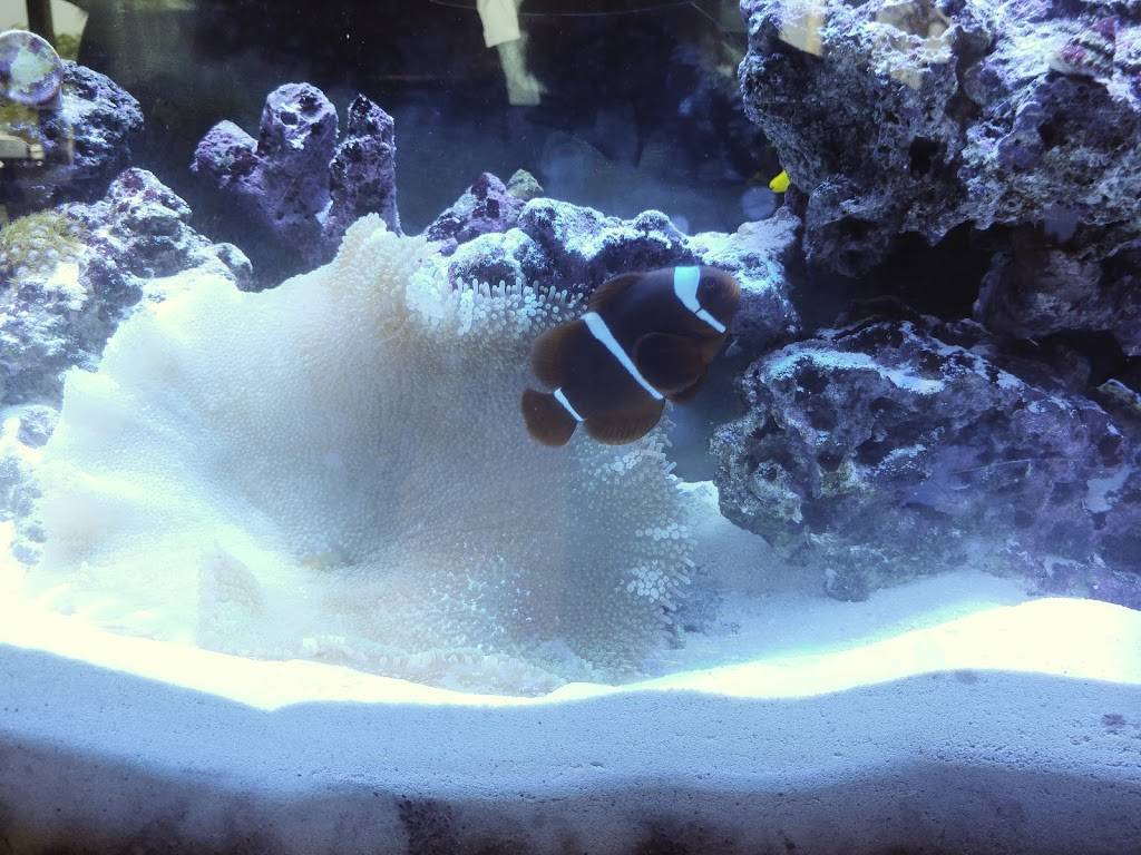 Enzos | meal delivery | 15964 W State Rd 84, Sunrise, FL 33326, USA | 9543846400 OR +1 954-384-6400