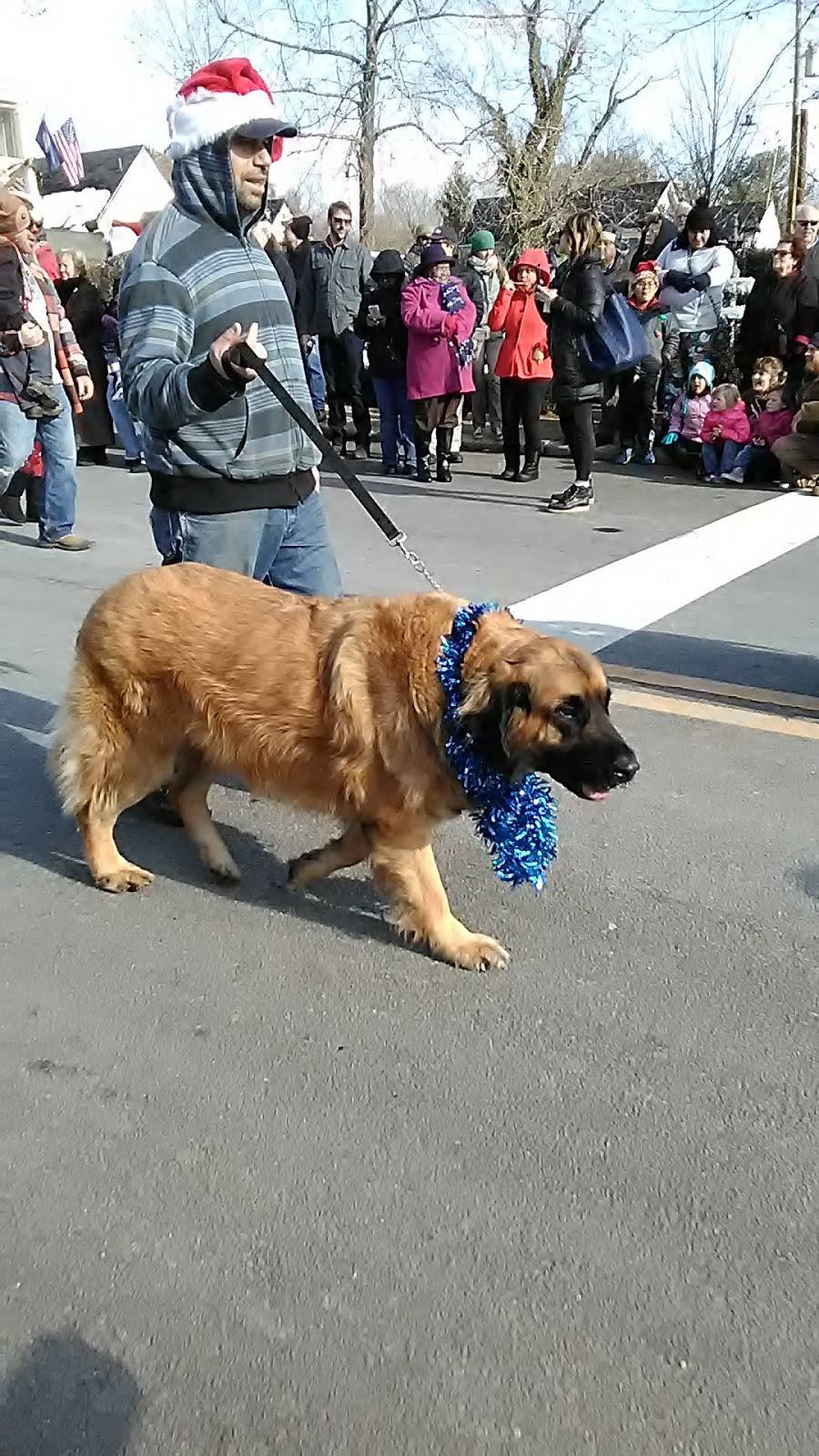 Country Cafe | restaurant | 389 Main St A, Washington, VA 22747, USA | 5406751066 OR +1 540-675-1066