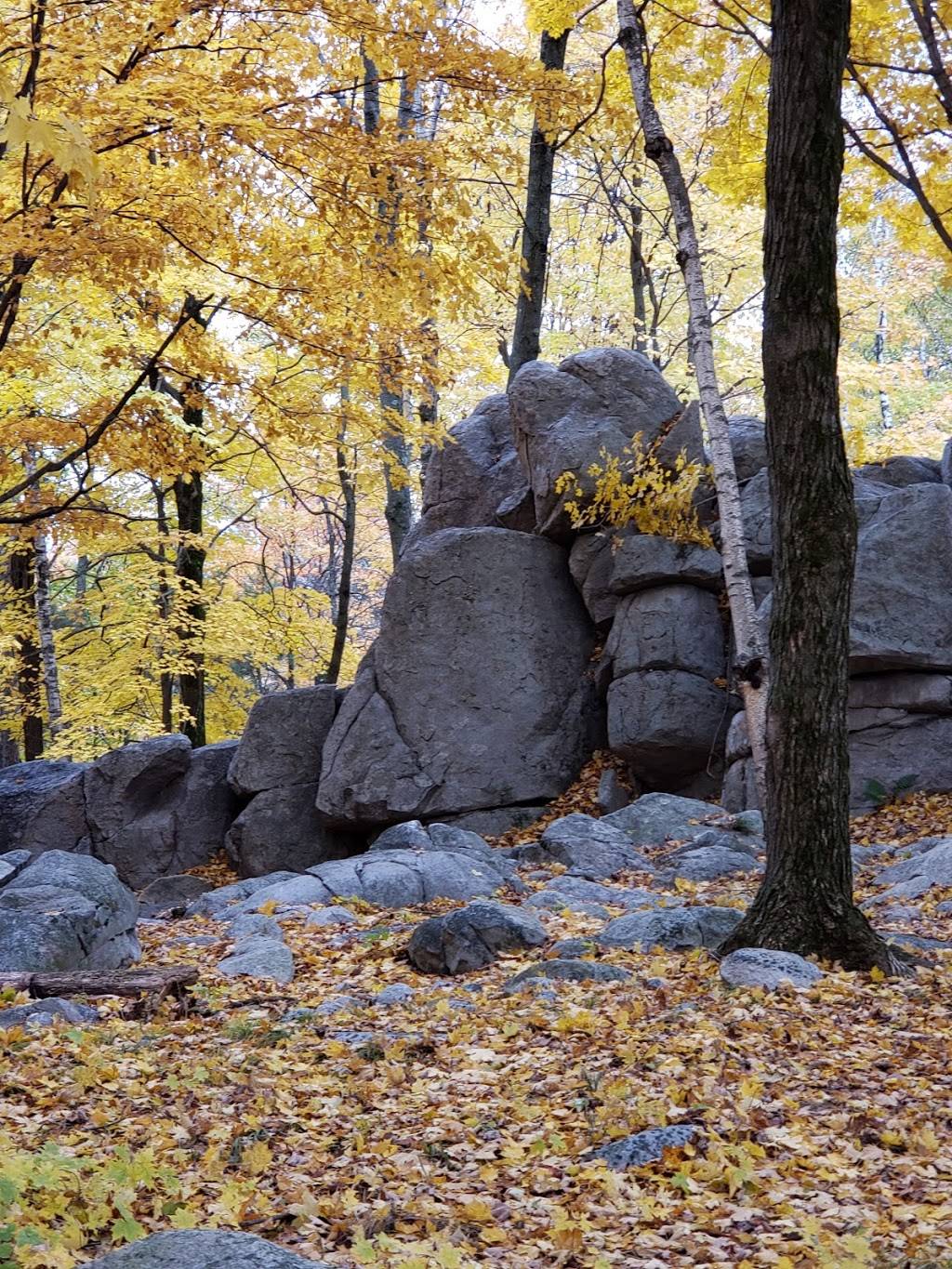 Top of the Rib Concessions / Friends of Rib Mt State Park | meal takeaway | 5300 Park Rd, Wausau, WI 54401, USA | 7156809480 OR +1 715-680-9480
