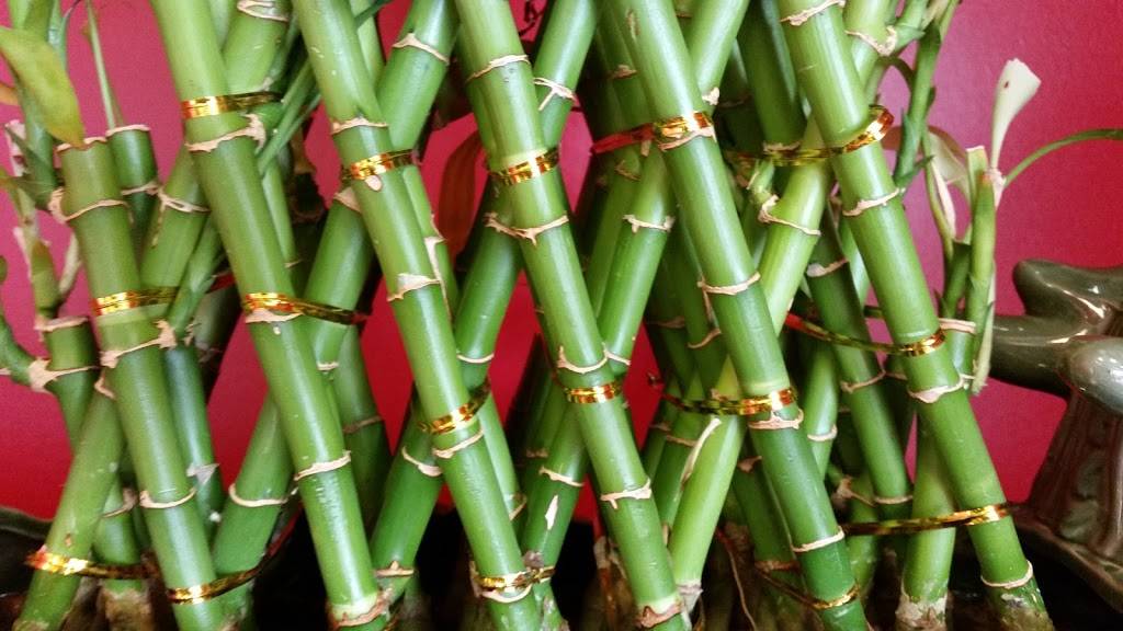 Schlotzskys | bakery | 15287 Southwest Fwy, Sugar Land, TX 77478, USA | 2815652867 OR +1 281-565-2867