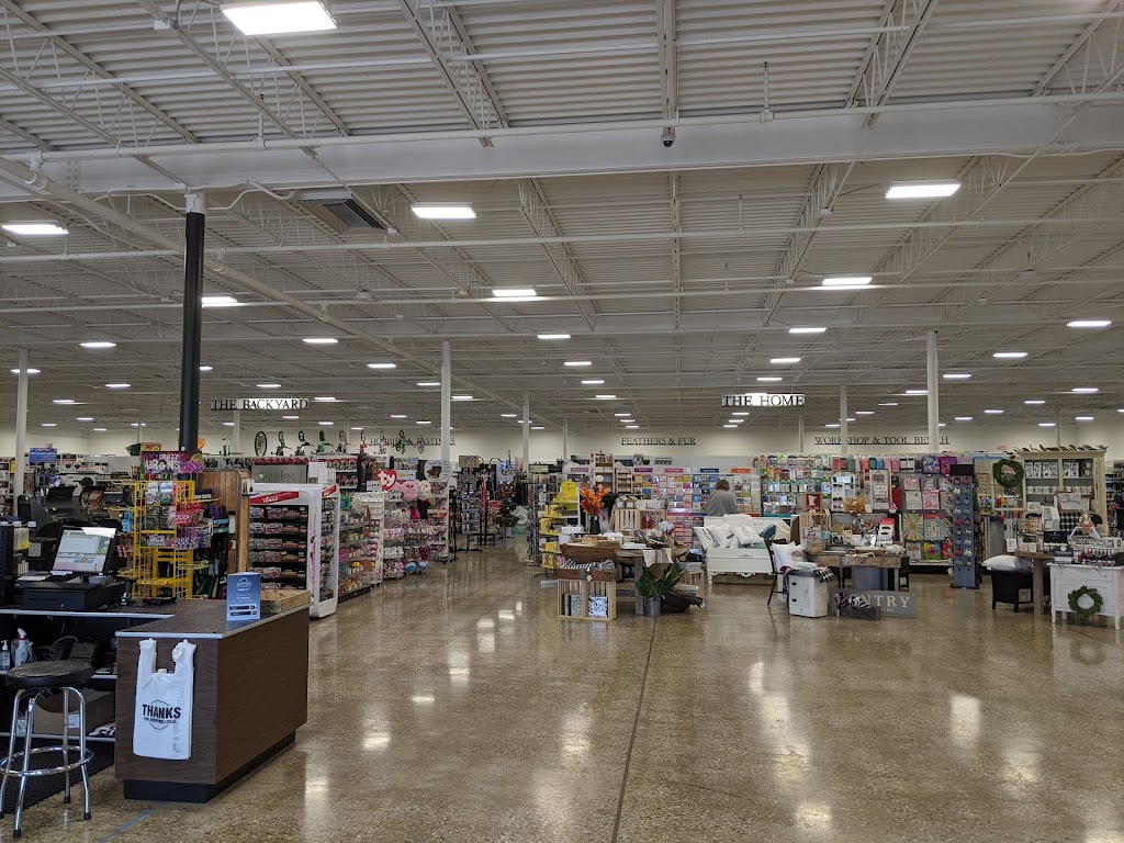 The Homestead | restaurant | 116 MN-28, Morris, MN 56267, USA | 3205851720 OR +1 320-585-1720