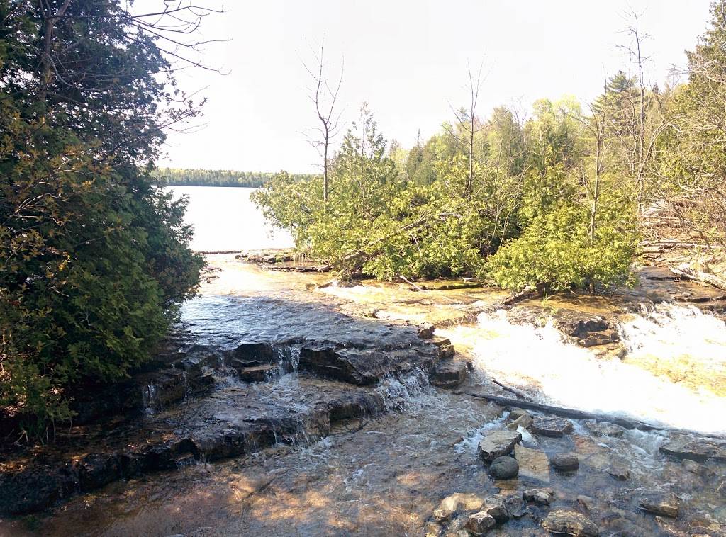 McDonalds | cafe | 1530 Albion Rd Unit F-1, Toronto, ON M9V 1B4, Canada | 4167460175 OR +1 416-746-0175