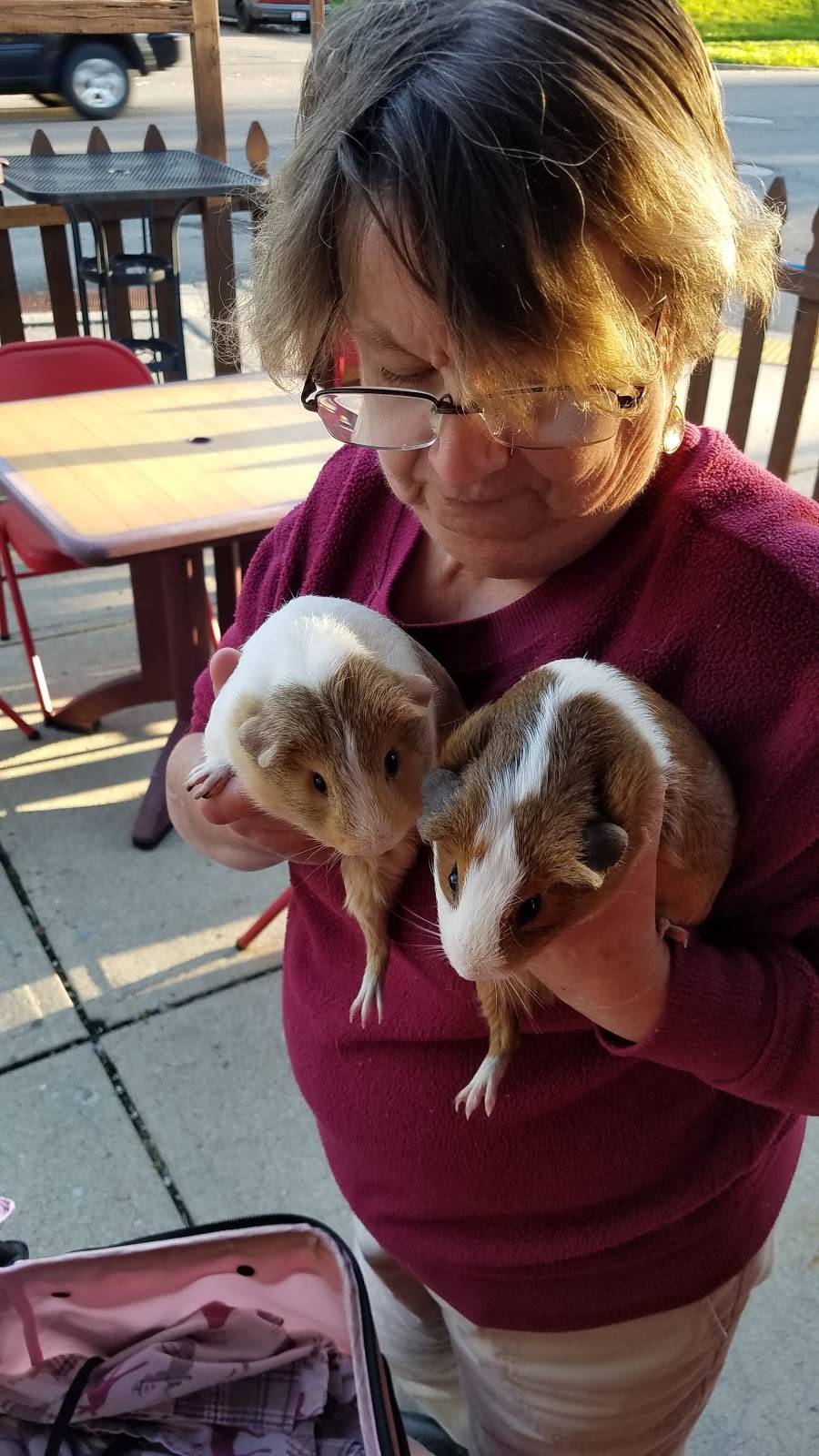 Red Carpet Tavern | restaurant | 3301 Wayne Ave, Dayton, OH 45420, USA | 9372589521 OR +1 937-258-9521