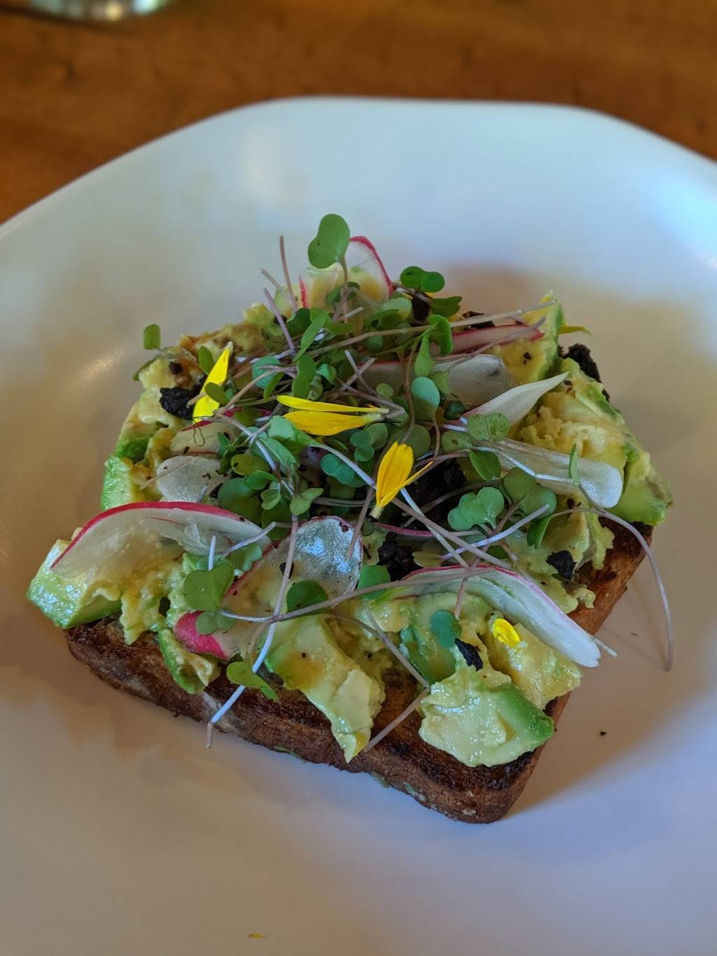 The Village, Big Sur | restaurant | 46840 CA-1, Big Sur, CA 93920, USA | 8316671700 OR +1 831-667-1700