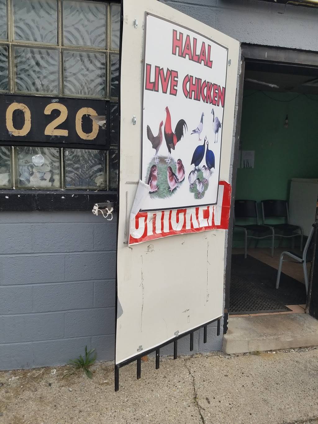 Halal Live Chicken LLC | restaurant | 5020 Edwin St, Hamtramck, MI 48212, USA | 3132858706 OR +1 313-285-8706