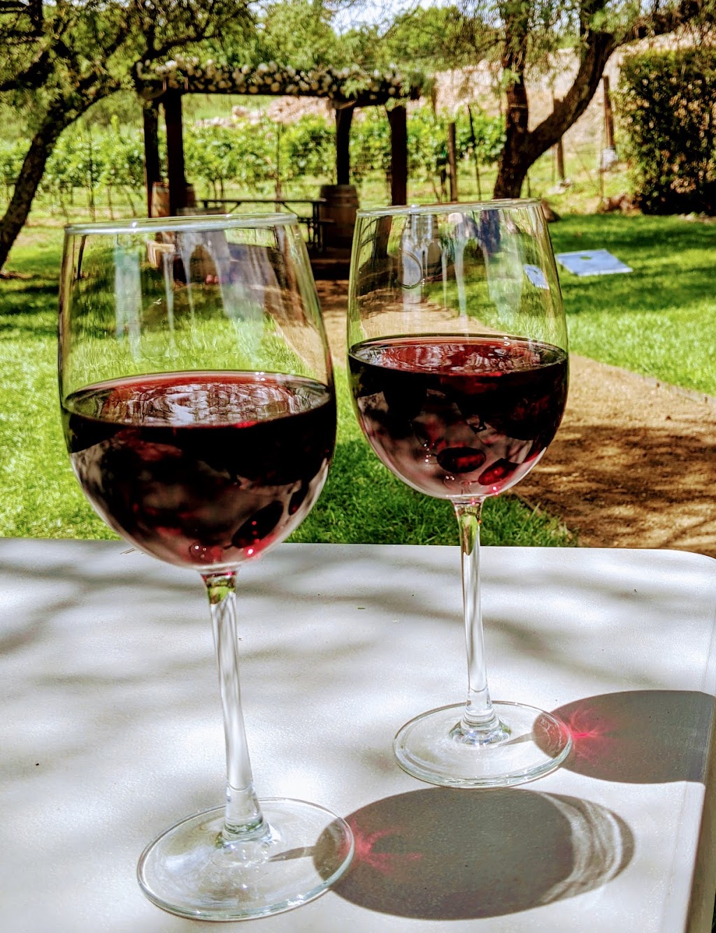 Javelina Leap Vineyard, Winery & Bistro | restaurant | 1565 N Page Springs Rd, Cornville, AZ 86325, USA | 9286492681 OR +1 928-649-2681