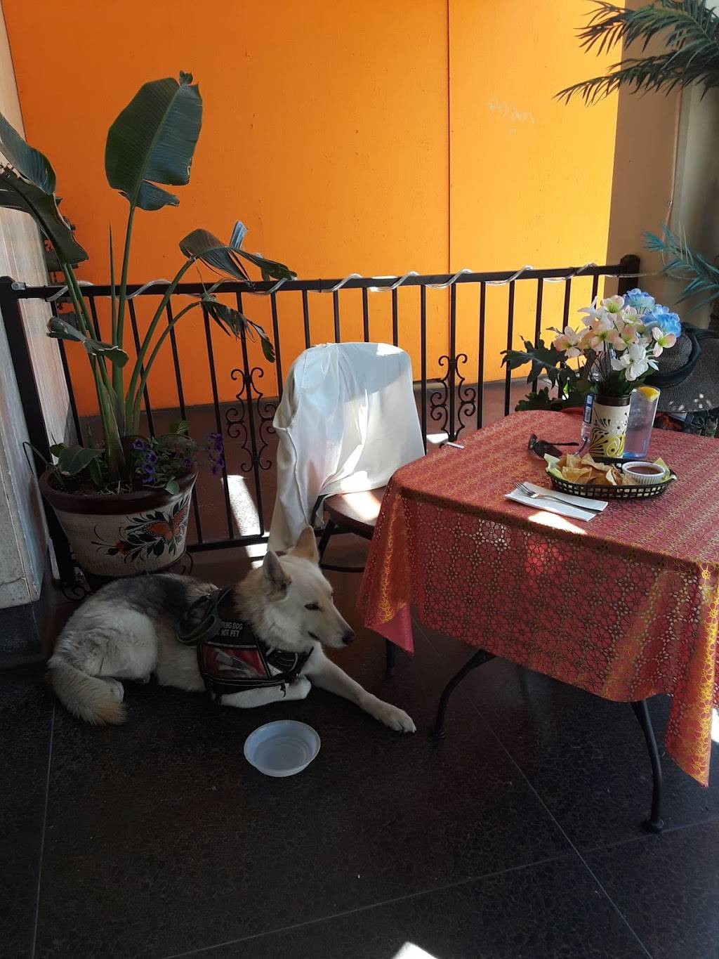 Tacos Las Salsas Express | restaurant | 1415 18th St, Bakersfield, CA 93301, USA | 6618005093 OR +1 661-800-5093