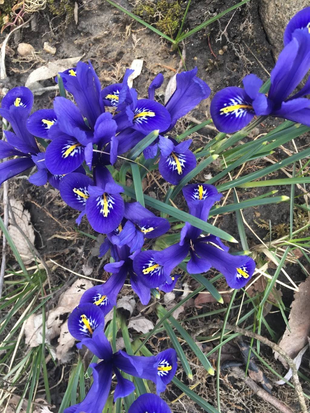 North 42 Degrees Estate Winery & Bistro 42 | restaurant | 130 Essex County Rd 50, Harrow, ON N0R 1G0, Canada | 5197386111 OR +1 519-738-6111