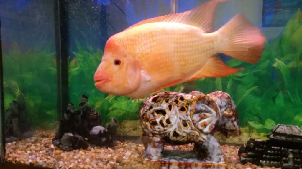 China Wok | restaurant | 1232 Ohio Pike, Amelia, OH 45102, USA | 5139430333 OR +1 513-943-0333