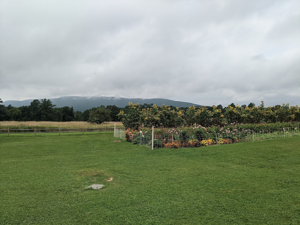 Jones Farm | bakery | 190 Angola Rd, Cornwall, NY 12518, USA | 8455344445 OR +1 845-534-4445