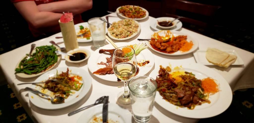 Chef Chows | restaurant | 230 Harvard St, Brookline, MA 02446, USA | 6177392469 OR +1 617-739-2469