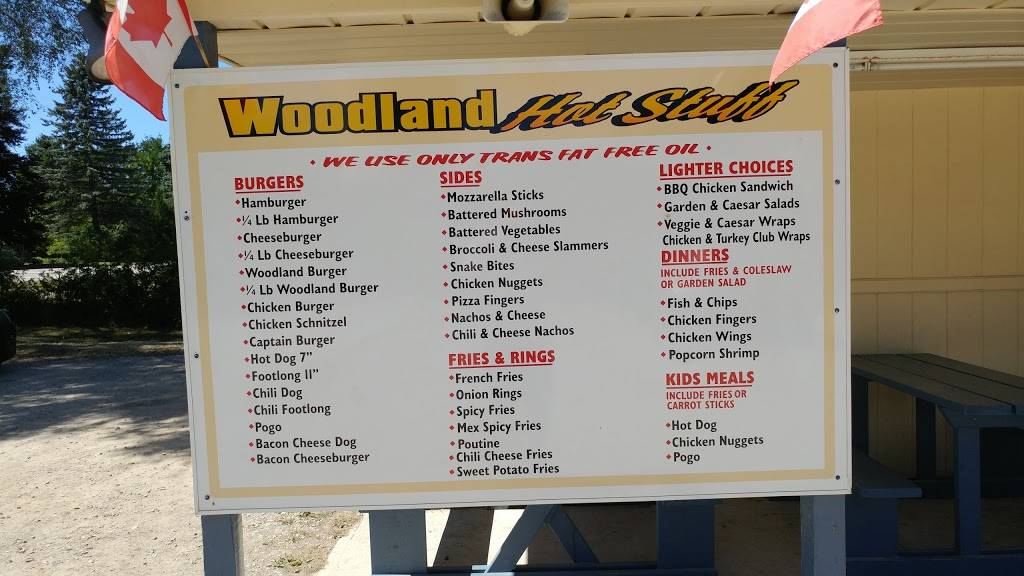 Woodland Drive In | restaurant | 17 Mill Rd, Bayfield, ON N0M 1G0, Canada | 5195652460 OR +1 519-565-2460
