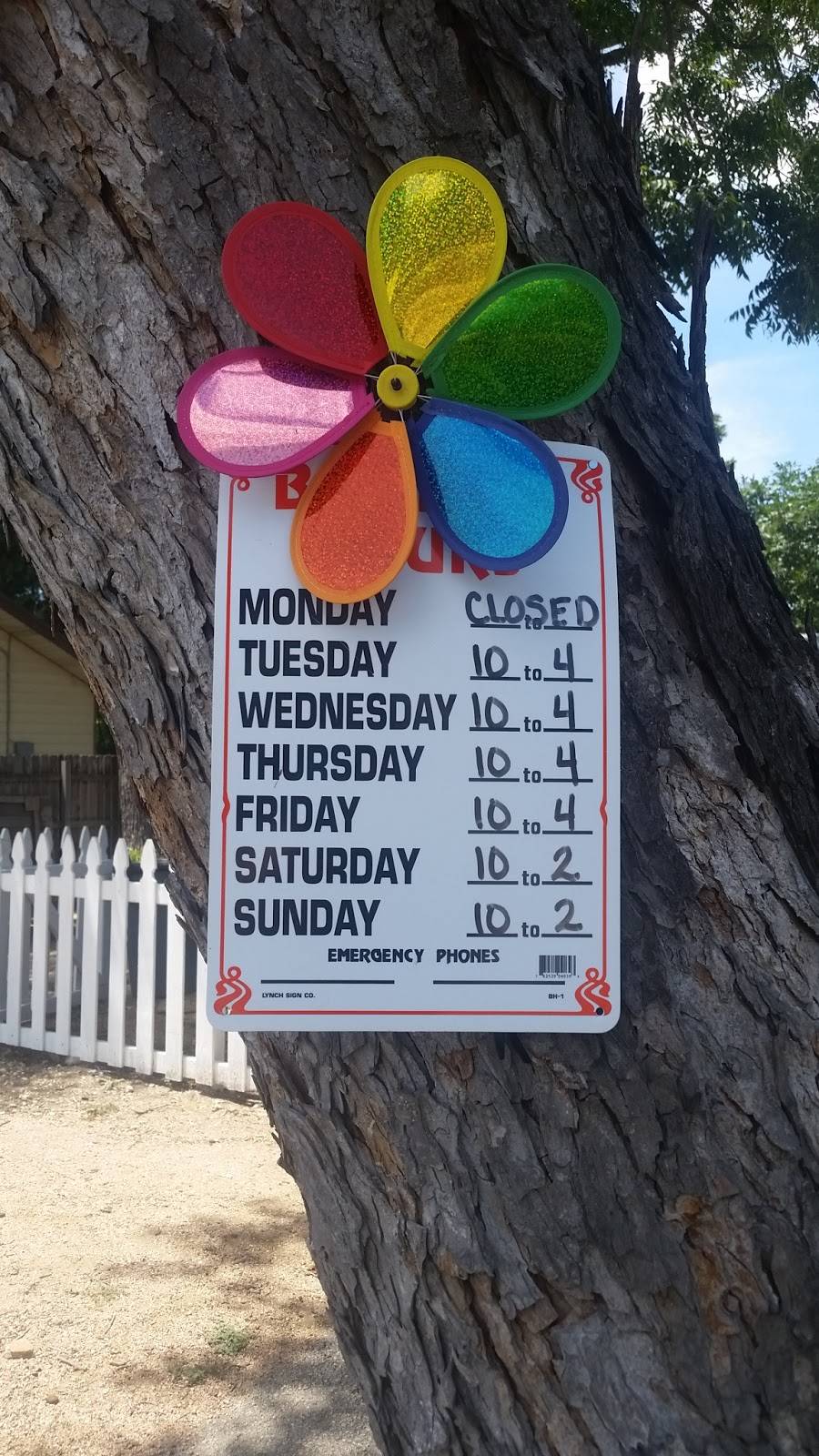 Gueros Backyard | restaurant | 1202 N Austin St, Seguin, TX 78155, USA | 8304334281 OR +1 830-433-4281