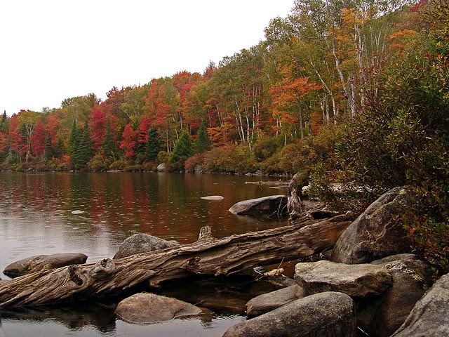 Browns Market Bistro | restaurant | 1261 Scott Hwy, Groton, VT 05046, USA | 8025844124 OR +1 802-584-4124