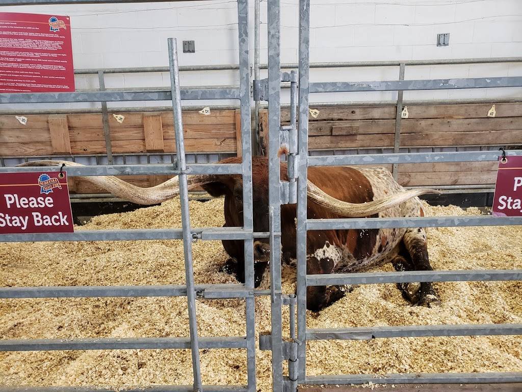 Fonner Park | restaurant | 700 E Stolley Park Rd, Grand Island, NE 68801, USA | 3083824515 OR +1 308-382-4515