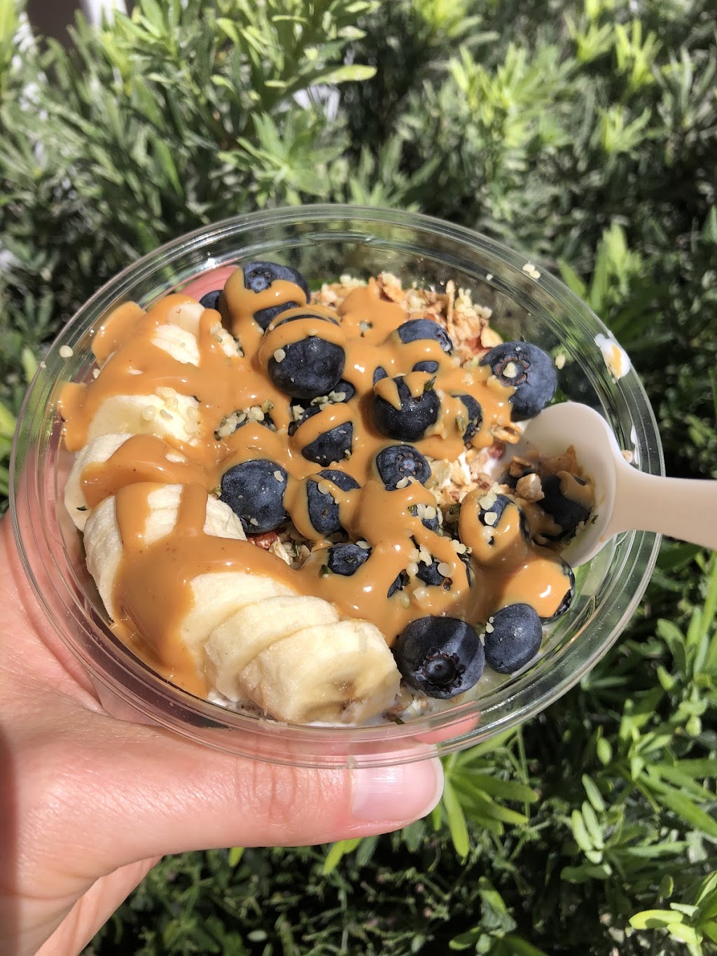 Prema Organic Cafe | restaurant | 3557 E County Hwy 30A, Santa Rosa Beach, FL 32459, USA | 8502133023 OR +1 850-213-3023