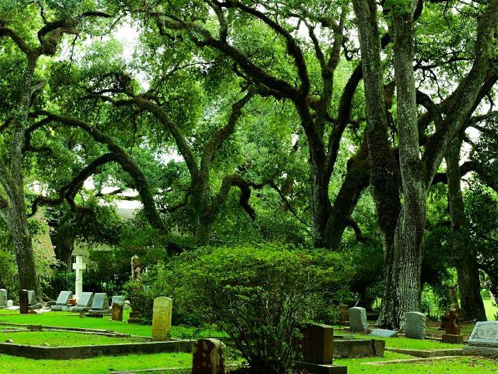 Audubons Cafe | restaurant | 1, St Francisville, LA 70775, USA | 2256355446 OR +1 225-635-5446