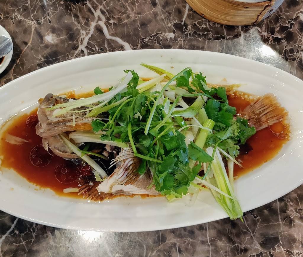 Dim Sum King | restaurant | 99 Skyline Plaza, Daly City, CA 94015, USA | 6507558128 OR +1 650-755-8128