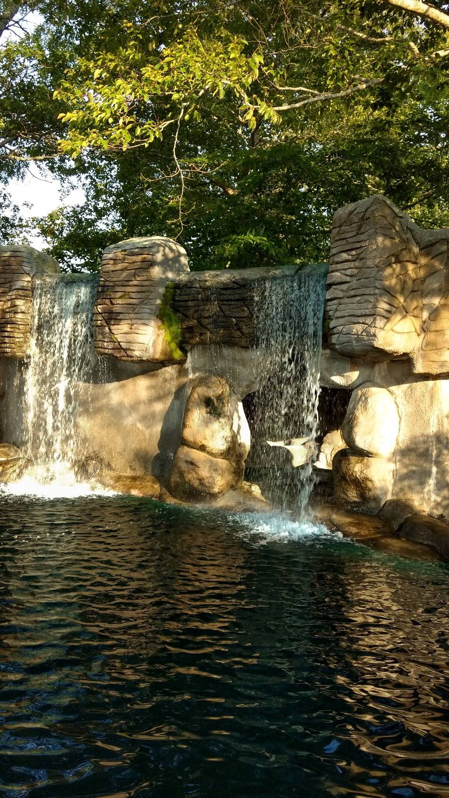 The Cove - Golf & Grill | restaurant | 386 State Rd, Vineyard Haven, MA 02568, USA | 5086932611 OR +1 508-693-2611