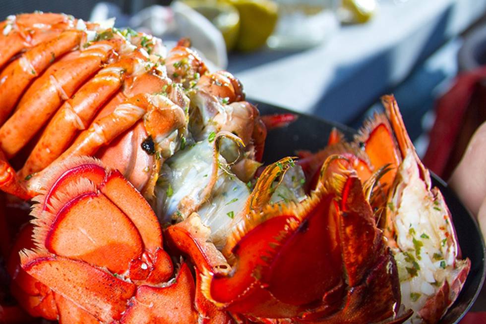 Baja Calypso | restaurant | Km 38, México 1, 22710 Rosarito, B.C., Mexico | 016616132696 OR +52 661 613 2696