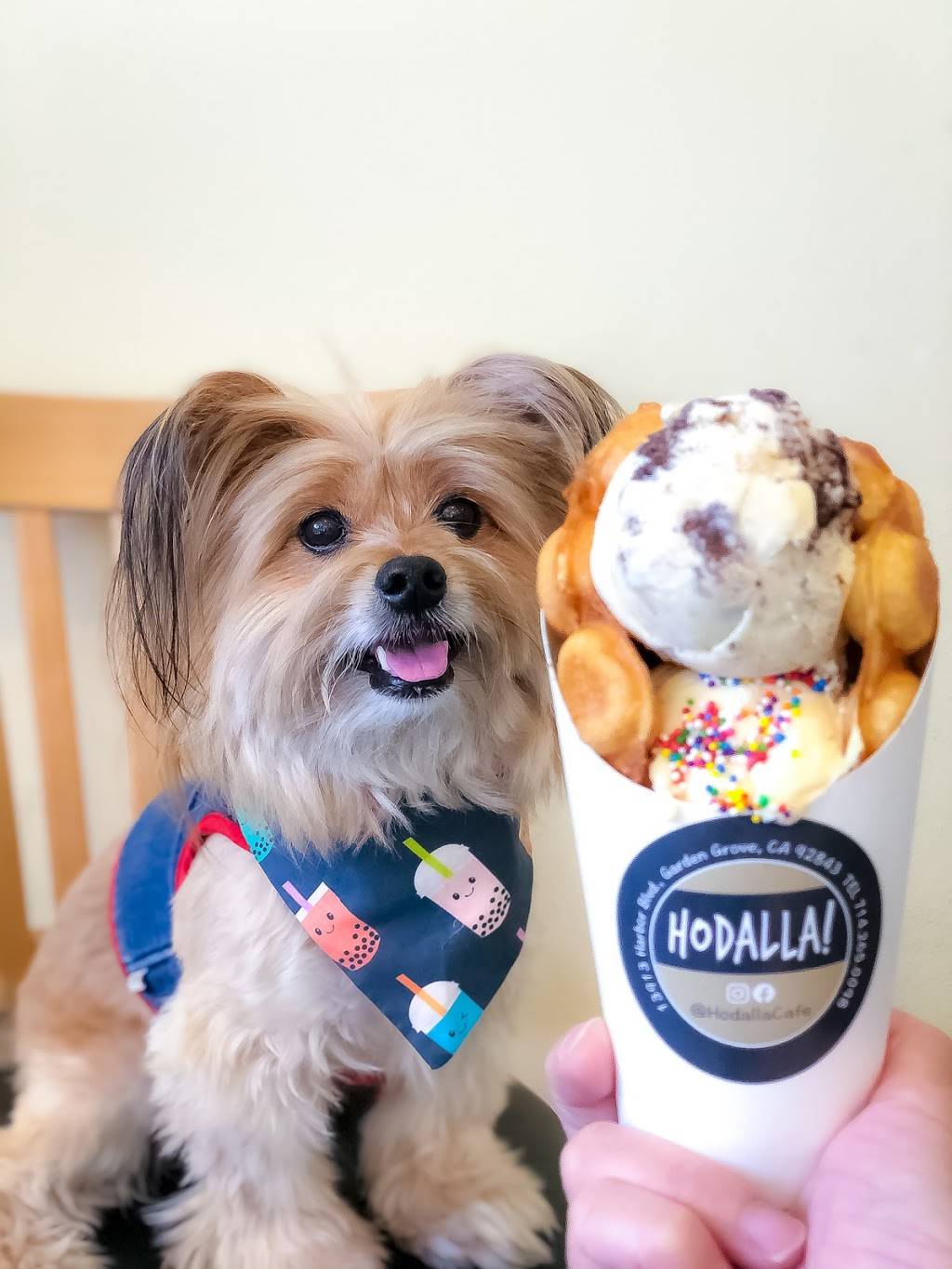 Hodalla Cafe By Ruiji | restaurant | By RUIJI SICHUAN, 13913 Harbor Blvd, Garden Grove, CA 92843, USA | 7142650098 OR +1 714-265-0098