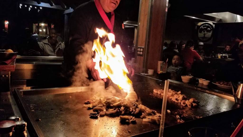 Samurais Japanese Steakhouse | restaurant | 3630 S Cedar St, Tacoma, WA 98409, USA | 2534759000 OR +1 253-475-9000