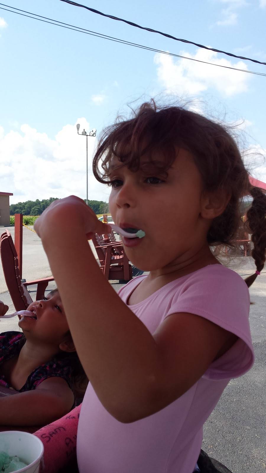 Roc Star Ice Cream & Eatery | restaurant | 268 Sanger Ave, Waterville, NY 13480, USA | 3152024010 OR +1 315-202-4010