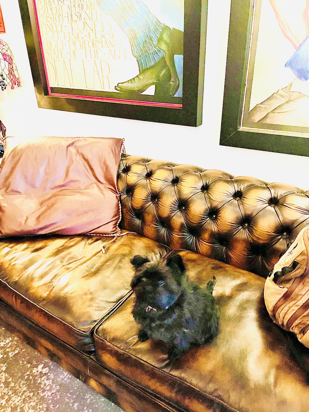 Tellurado Studio & Bistro | restaurant | 219 E Colorado Ave, Telluride, CO 81435, USA | 9702396440 OR +1 970-239-6440